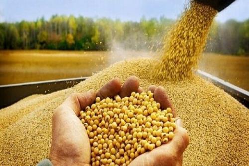 صادرات تجهیزات کشاورزی در ارتباط با خوراک دام و طیور به ۵ کشور