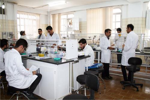 بكارگیری توان علمی بیش از ۵۰۰ محقق بازگشته به كشور
