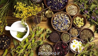 تولید بذر و اندام تکثیری گیاهان دارویی از 250 هزار تن فراتر رفت