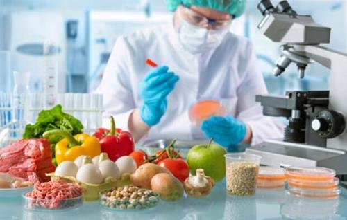 ارائه دستاوردهای ۶۳ شرکت دانش بنیان در عرصه صنایع غذایی
