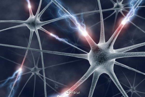 توسعه داروی کاهش وزن مشابه اوزمپیک بدون عوارض جانبی