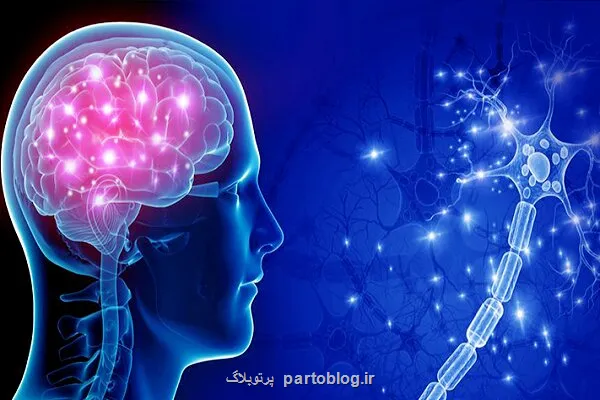 ارایه گرنت ویژه برای دفاع از پروژه های علوم شناختی