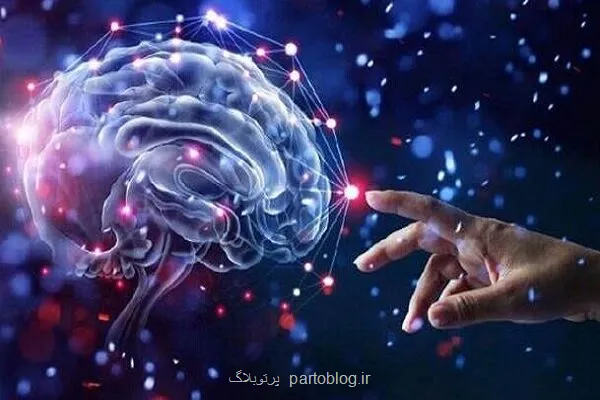 ضرورت همکاری فناورانه برای پیشتازی کشورهای اسلامی در حوزه سلامت شناختی