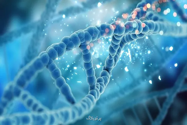ساخت کامپیوتری مبتنی بر DNA محاسبات بدون نیاز به برق مداوم