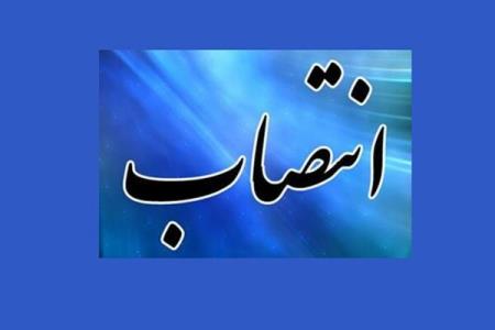 سرپرستان ۴ واحد دانشگاه آزاد منصوب شدند