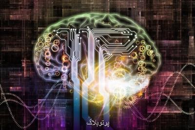 تحریك اعصاب مغز زبان آموزی را ارتقا می دهد