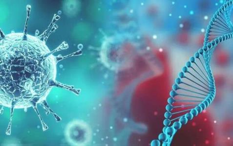 نوع G ویروس كووید ۱۹ دارای انتقال آسان تر و سریع تر است